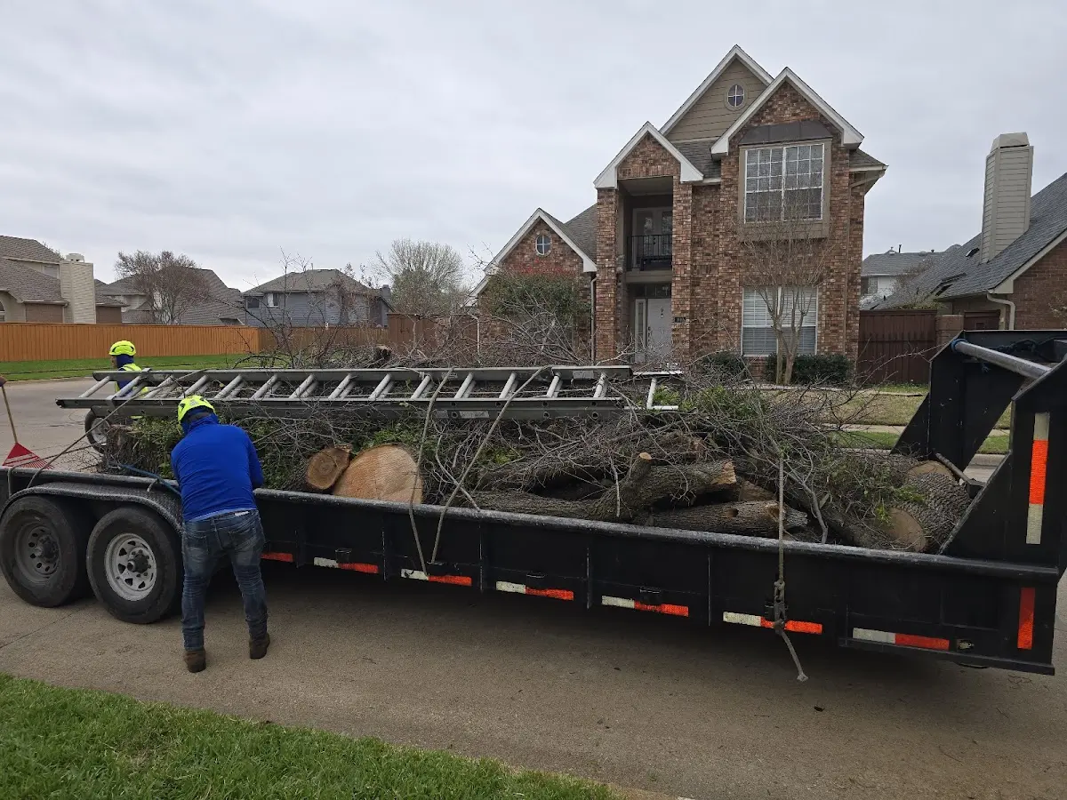 Expert Tree Pest Control with proper safety equipment in Hatch